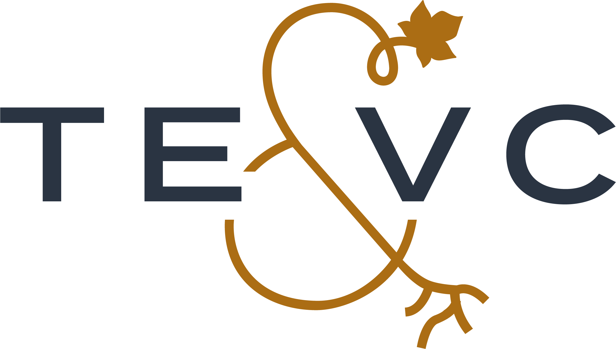 Terroirs et Vignerons de Champagne